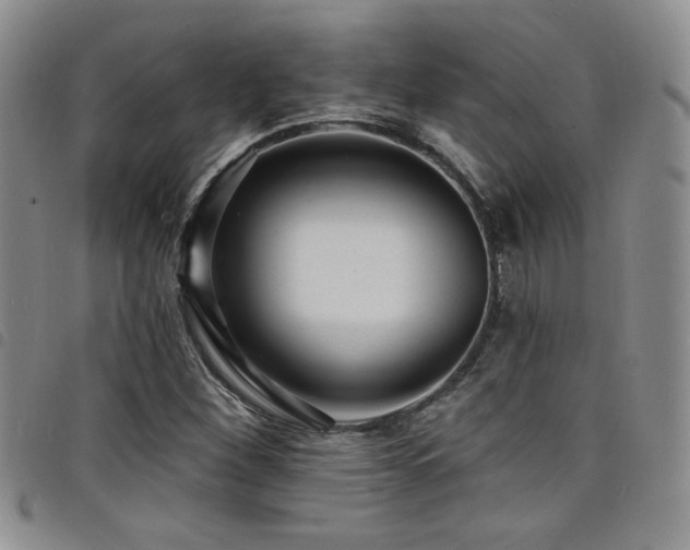 X0000098201260200804241244