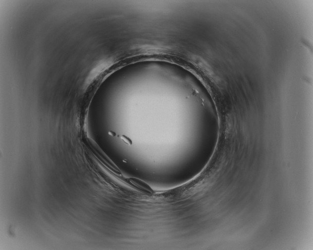 X0000098201261200804241244