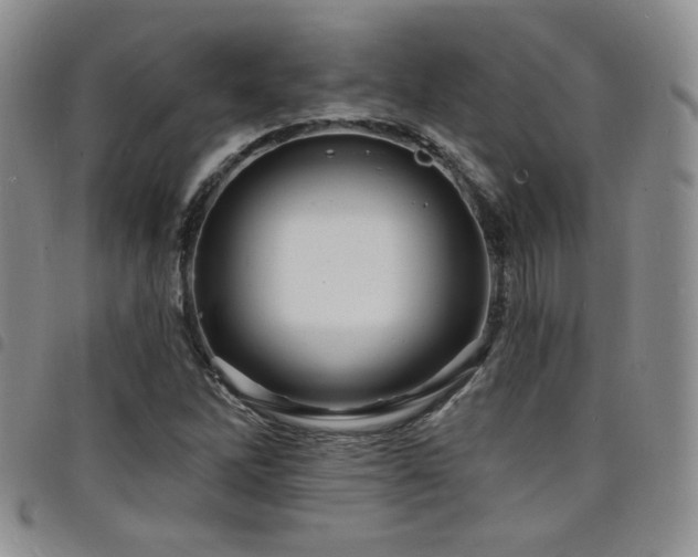 X0000098201262200804241244