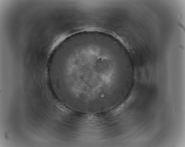X0000098201263200804241244