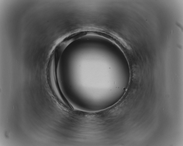 X0000098201264200804241244