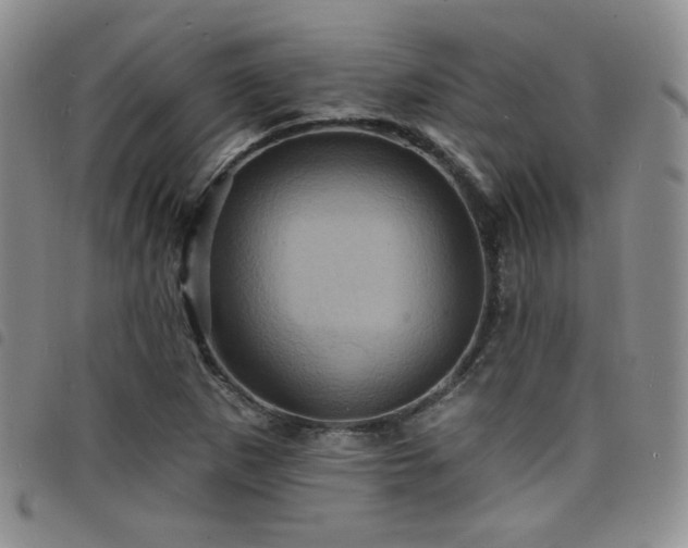 X0000098201265200804241244