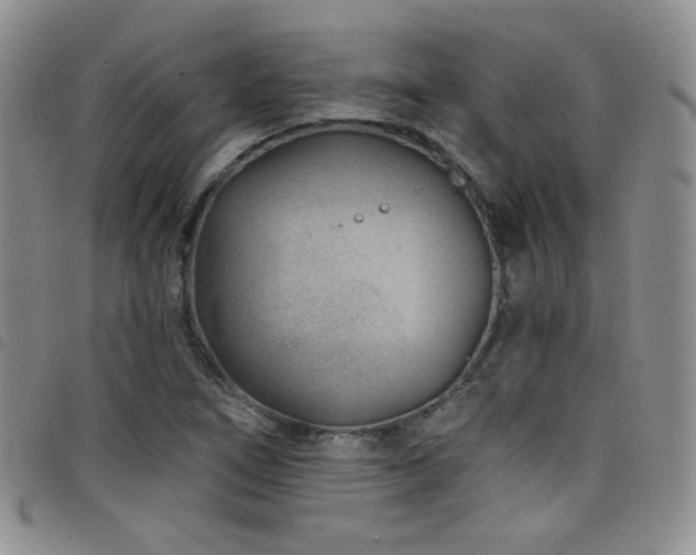 X0000098201266200804241244