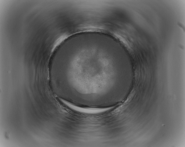 X0000098201267200804241244