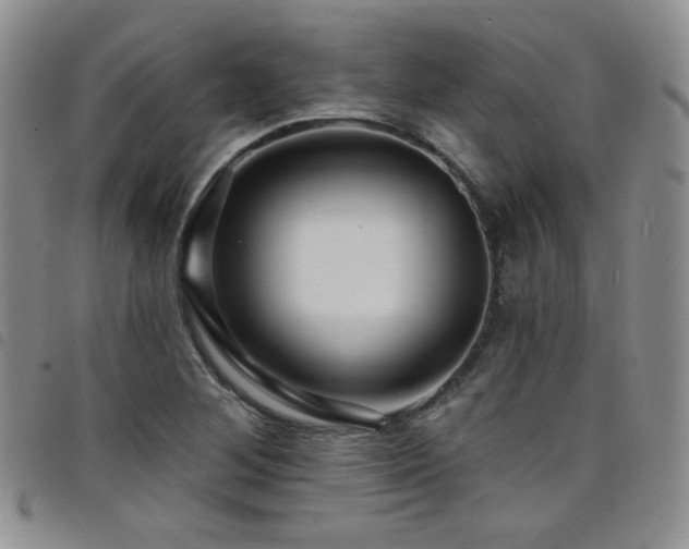X0000098201268200804241244