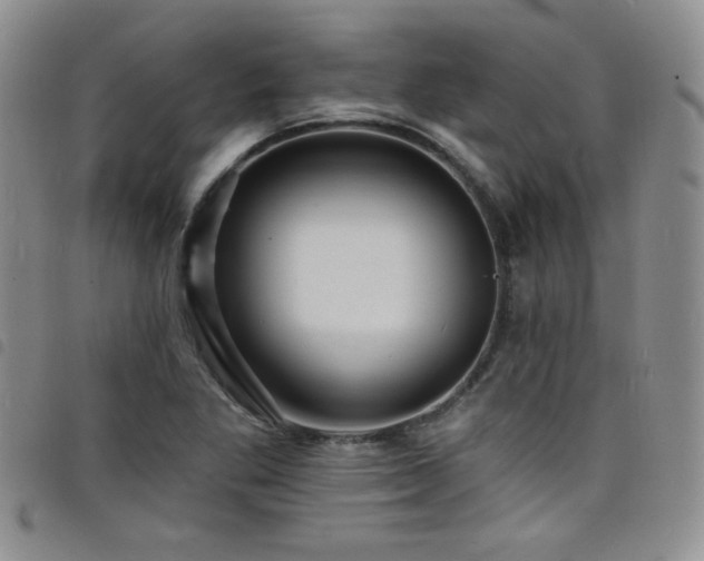 X0000098201269200804241244