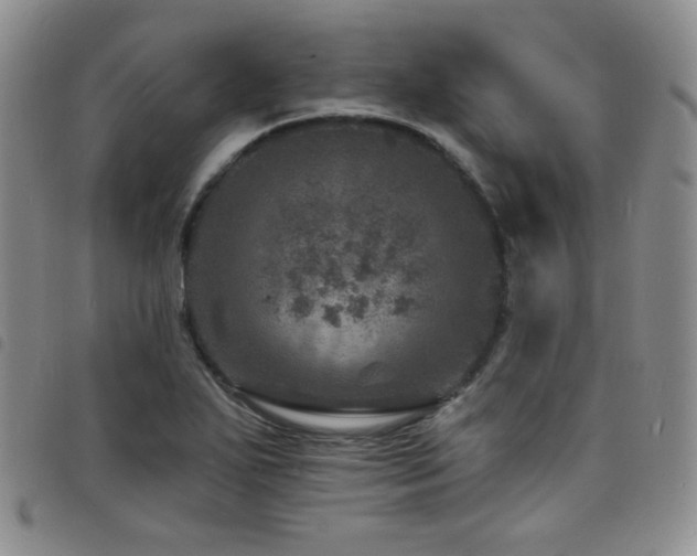 X0000098201271200804241244