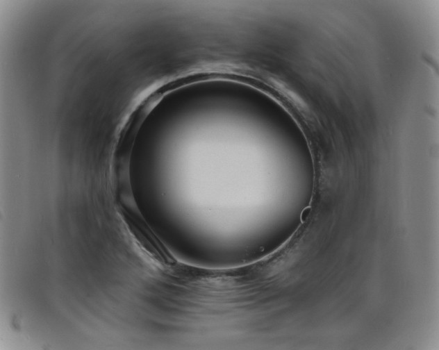 X0000098201272200804241244