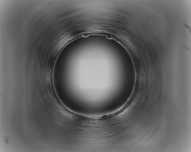 X0000098201273200804241244
