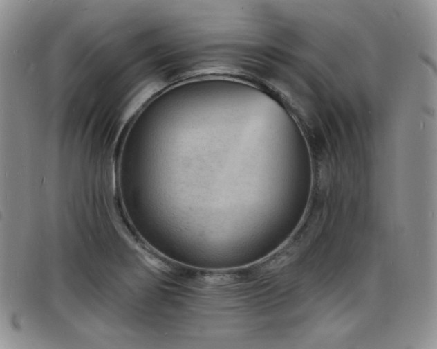 X0000098201274200804241244