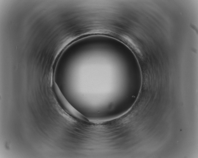 X0000098201276200804241244