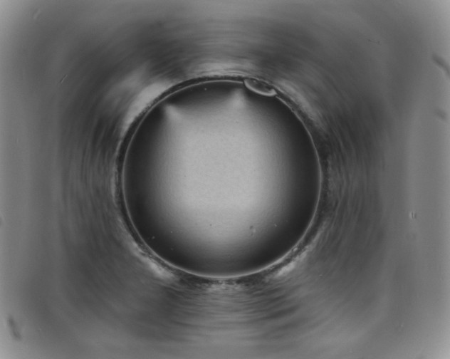 X0000098201277200804241244
