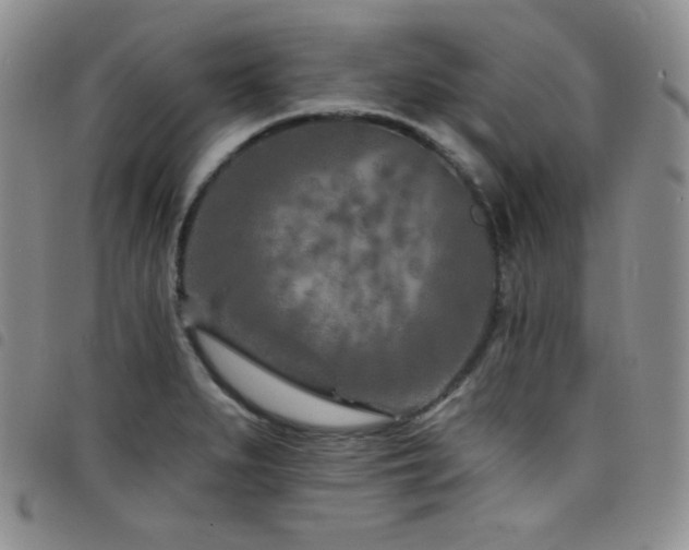 X0000098201279200804241244