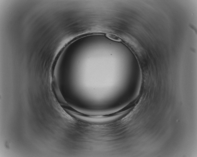 X0000098201280200804241244