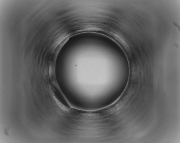 X0000098201281200804241244