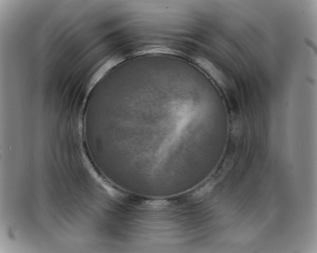 X0000098201282200804241244