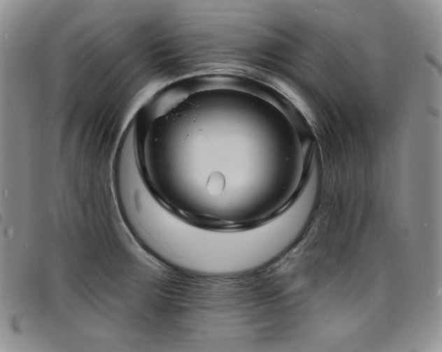X0000098201283200804241244
