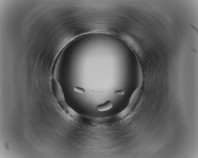 X0000098201284200804241244