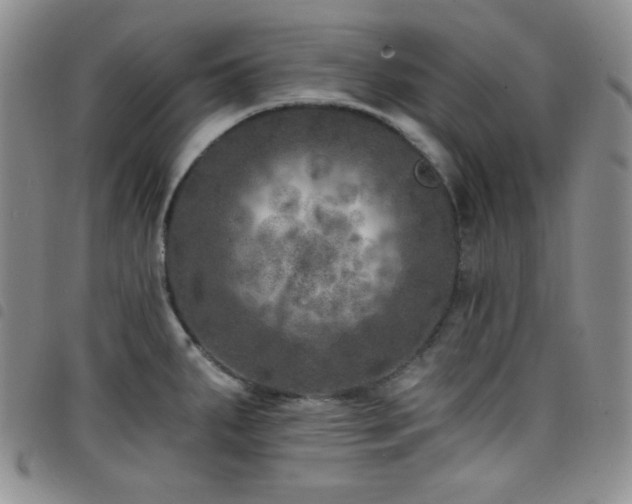 X0000098201287200804241244