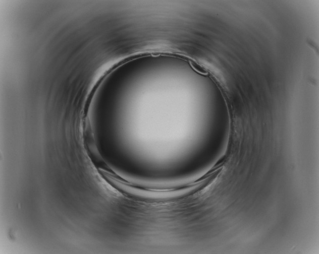 X0000098201288200804241244