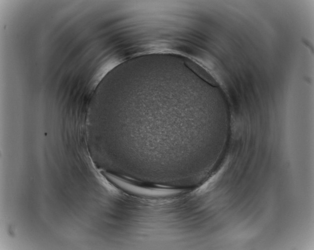 X0000098201289200804241244