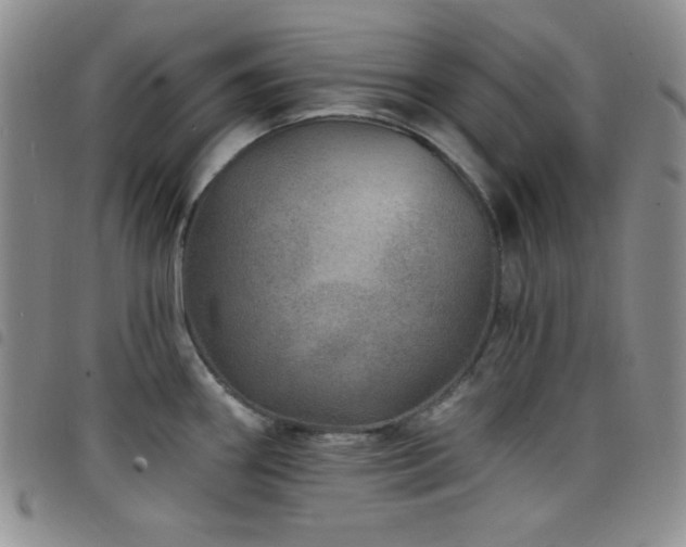X0000098201290200804241244