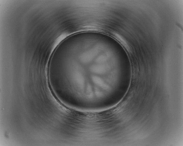 X0000098201291200804241244