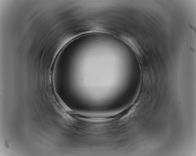 X0000098201292200804241244