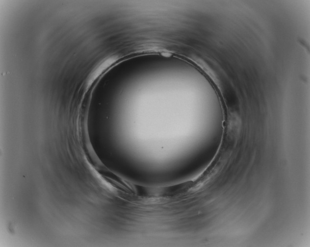 X0000098201293200804241244