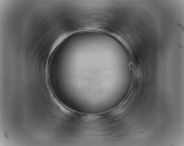 X0000098201294200804241244
