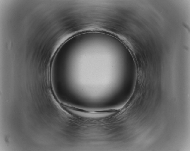 X0000098201295200804241244