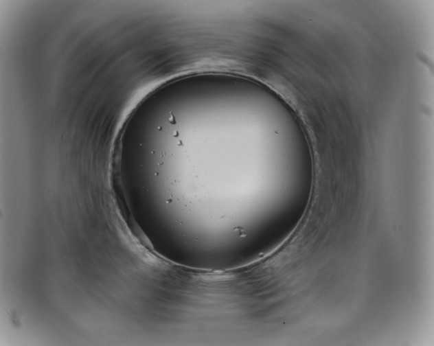 X0000098201296200804241244