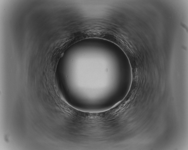 X0000098201297200804241243