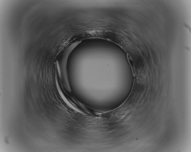 X0000098201298200804241243