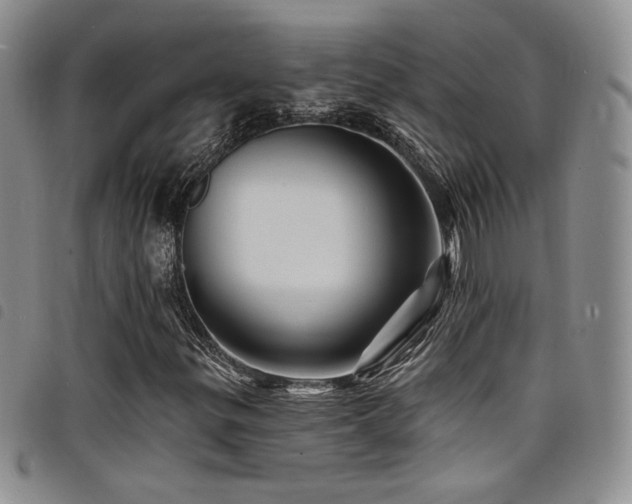 X0000098201299200804241243
