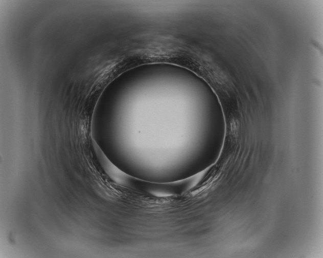 X0000098201300200804241243