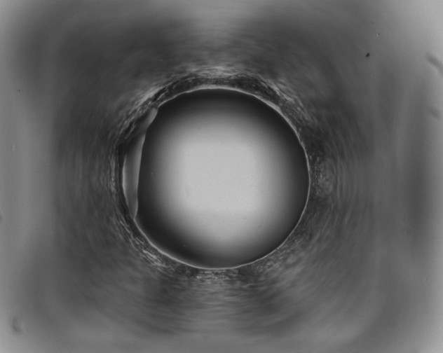 X0000098201301200804241243