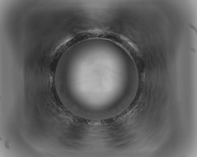 X0000098201302200804241243