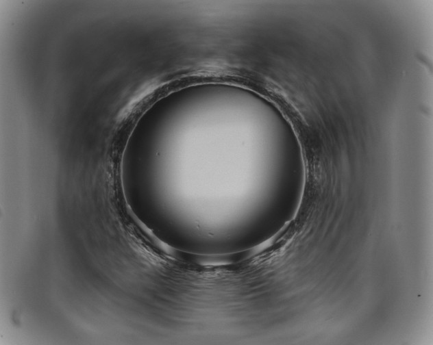 X0000098201304200804241243