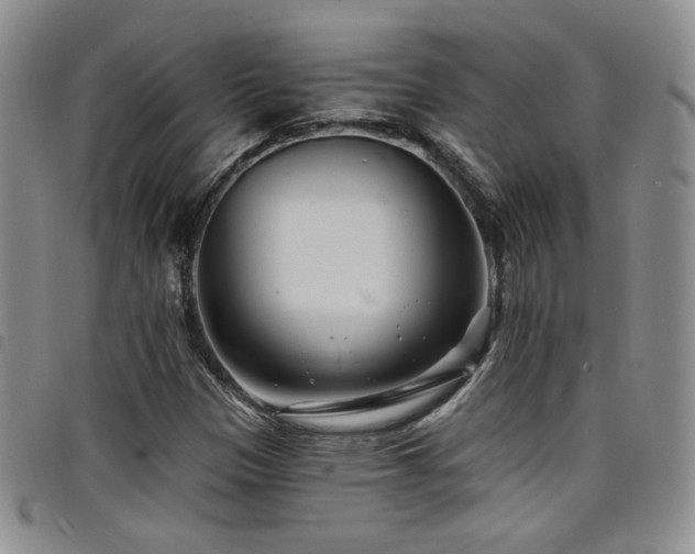 X0000098201305200804241243