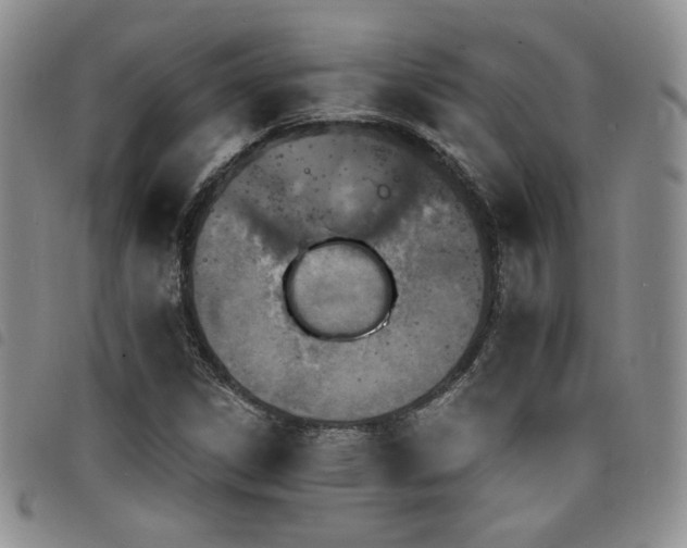 X0000098201306200804241243