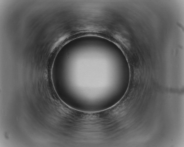 X0000098201307200804241243