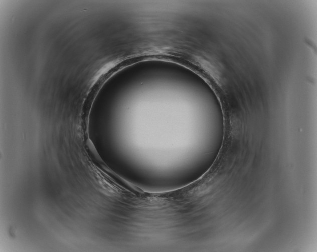 X0000098201308200804241243