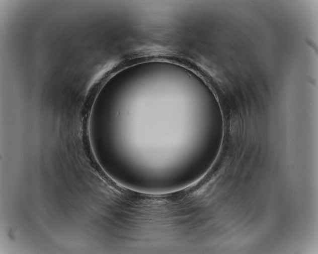 X0000098201309200804241243