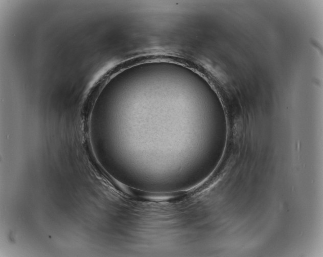 X0000098201310200804241243