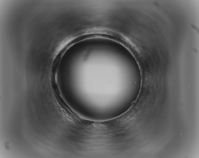 X0000098201312200804241243