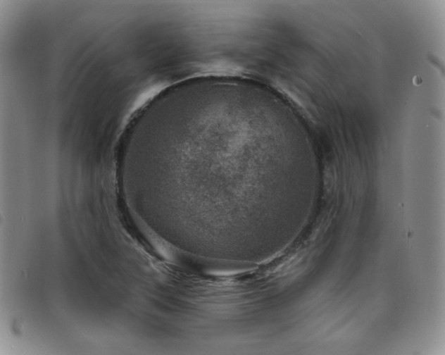 X0000098201315200804241243