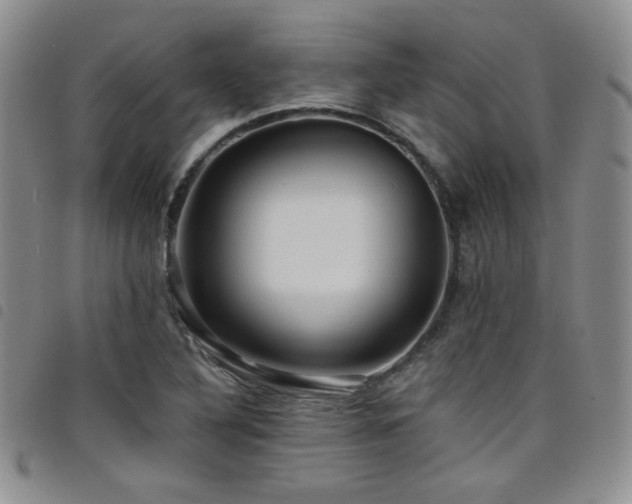 X0000098201316200804241243