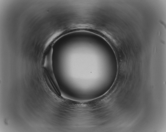 X0000098201317200804241243