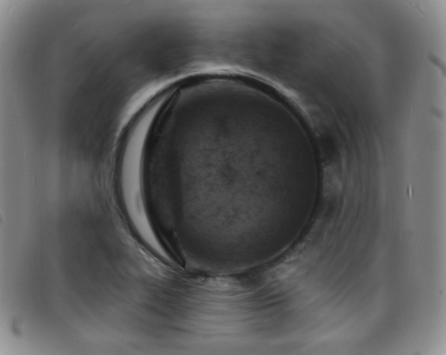 X0000098201319200804241243